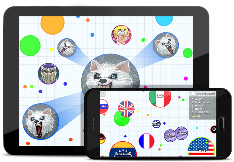 Petition · Dear Miniclip, Stop Neglecting Agar.io! ·